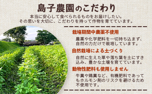 紫色菊芋焙煎パウダー （80g×1袋）　SK-7｜ コーヒー 菊芋 パウダー ノンカフェイン 野菜茶 きくいも お茶 焙煎 ギフト グルメ お取り寄せ 鹿児島県 南大隅町 島子農園