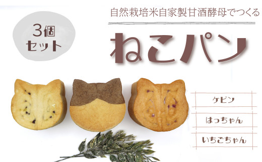 かわいいねこパン3個セット ＜苺ちゃん、はっちゃん、ケビン＞　西条市産の自然栽培米でつくる 自家製米麹生あま酒を使用した 天然酵母で作りました！