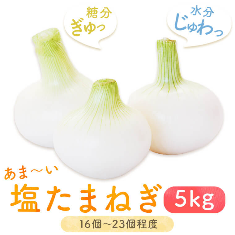 【ふるさと納税】 湯田口海岸産 塩玉ねぎ 約5kg 【3月以降順次発送】【3月31日まで申込受付】 鹿児島県 薩摩川内市 送料無料 塩たまねぎ 塩タマネギ 塩玉葱 新玉ねぎ 新たまねぎ 新タマネギ 新玉葱 塩浜地区