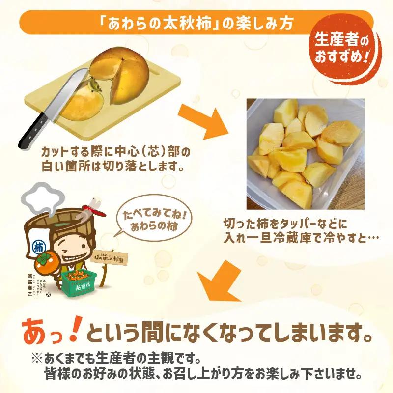  【先行予約】「越前柿」だけじゃないよ！希少なあわらの「太秋柿」6個入（1.8kg以上） ／ 果物 フルーツ 産地直送 期間限定 ※2026年10月下旬以降発送予定 [aw131-a001]