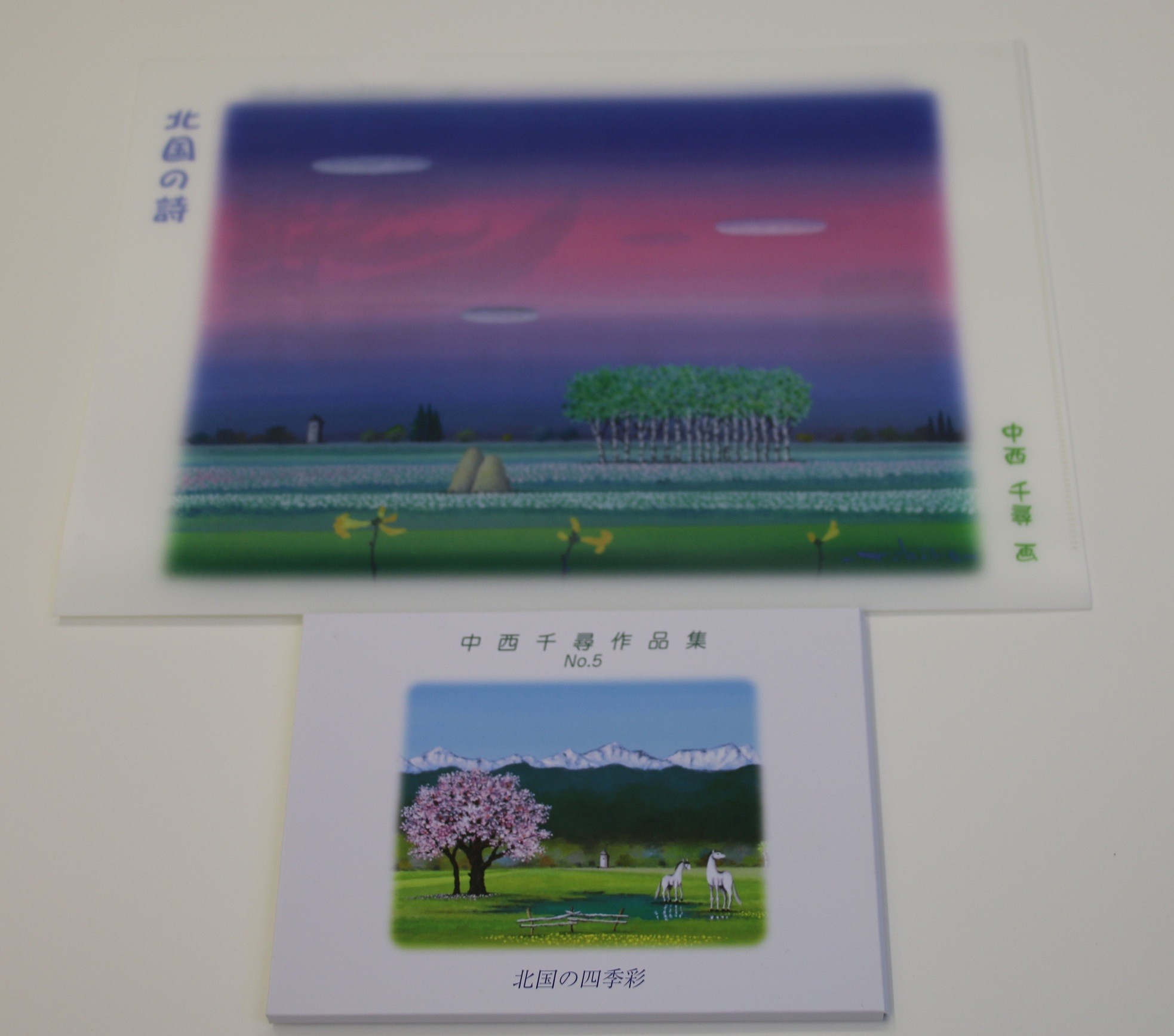 
村内在住画家による絵画・クリアファイル＆絵葉書セット[X05-1]
