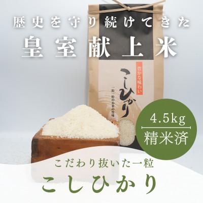 ふるさと納税 能美市 【令和7年度産】お米農家直送　石川県産コシヒカリ　4.5kg