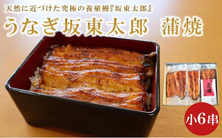 うなぎ 坂東太郎 蒲焼 小 6串 グルメ ブランド 冷凍 加工品 惣菜 セット お取り寄せ 真空パック 千葉県 銚子市 忠平 鰻 ｳﾅｷﾞ 鰻 ｳﾅｷﾞ 鰻 ｳﾅｷﾞ 鰻 ｳﾅｷﾞ 鰻 ｳﾅｷﾞ 鰻 ｳﾅｷﾞ 鰻 ｳﾅｷﾞ 鰻 ｳﾅｷﾞ 鰻 ｳﾅｷﾞ 鰻 ｳﾅｷﾞ 鰻 ｳﾅｷﾞ 鰻 ｳﾅｷﾞ 鰻 ｳﾅｷﾞ 鰻 ｳﾅｷﾞ 鰻 ｳﾅｷﾞ 鰻 ｳﾅｷﾞ 鰻 ｳﾅｷﾞ 鰻 ｳﾅｷﾞ 鰻 ｳﾅｷﾞ 鰻 ｳﾅｷﾞ 鰻 ｳﾅｷﾞ 鰻 ｳﾅｷﾞ 鰻 ｳﾅｷﾞ 鰻 ｳﾅｷﾞ 鰻 ｳﾅｷﾞ 鰻 ｳﾅｷﾞ 鰻 ｳﾅｷﾞ 鰻 ｳﾅ