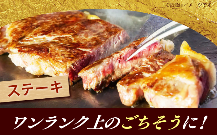 博多和牛 牛肉 リブロース ステーキ 500g（250g×2） 《築上町》【肉のくまもと屋】 [ABEZ072]