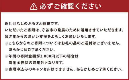 茨城県 守谷市への寄付 2,000円（返礼品はありません）