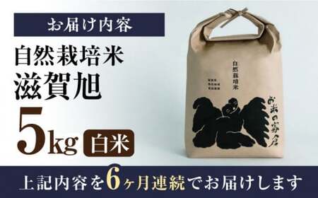 【令和6年度産】【全6回定期便】自然栽培米滋賀旭 　5kg白米×6回　滋賀県長浜市/株式会社お米の家倉[AQCP050]