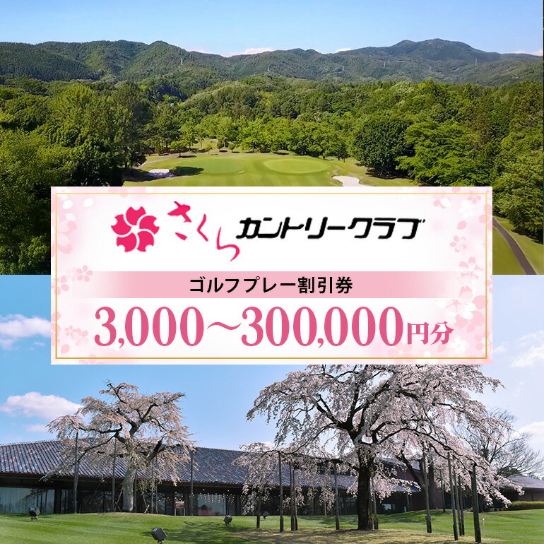 【ふるさと納税】 ゴルフ 八百津町 割引券 選べる 3,000円分 15,000円分 30,000円分 90,000円分 150,000円分 300,000円分 趣味 娯楽 さくらカントリークラブ 送料無料 y6-13