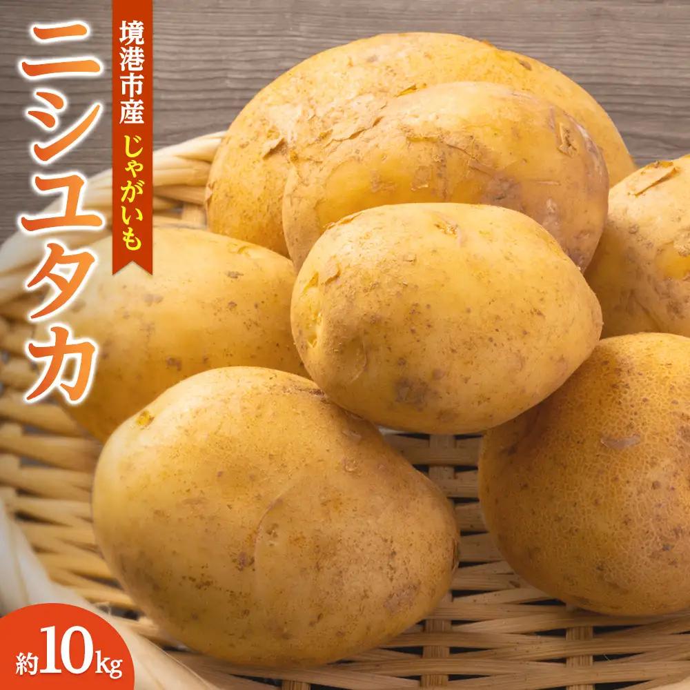 ＜先行予約受付中！12月中旬～2月中旬発送予定＞じゃがいも 西豊(約10kg) 【鳥取県 境港市】