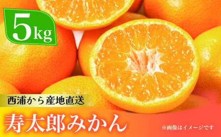 寿太郎 みかん 約5kg 西浦みかん 柑橘 本格 貯蔵みかん 熟成みかん 数量限定 果物 フルーツ 国産