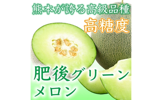 【2027年5月上旬～7月下旬発送予定】肥後グリーンメロン 2玉 4L以上（約4kg）