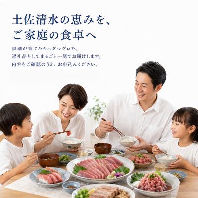 ふるさと納税 土佐清水市 天然 キハダマグロ 1尾(約2kg〜3kg)下処理あり 約8〜12人前【R01758】 |  | 01