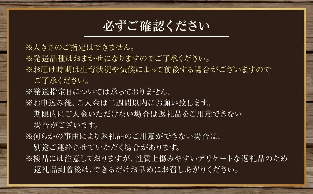 とうもろこし イエロー 約5kg 【2026年8月上旬～2026年8月下旬発送予定】 野菜 トウモロコシ コーン スイートコーン もろこし 甘い 北海道 浦臼町