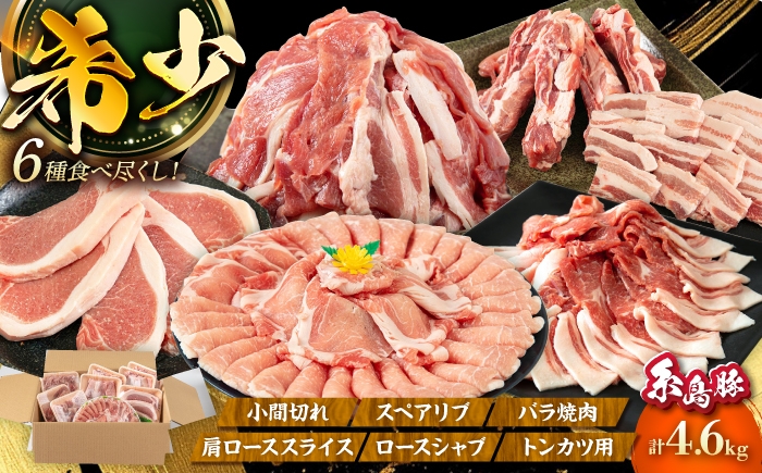 
合計4.6kg！糸島豚 食べ尽くし セット ( とんかつ / 肩ロース / しゃぶしゃぶ / 豚バラ / スペアリブ / 小間切れ ) 糸島 / トラヤミートセンター [AJD005] 国産 豚肉 とんかつ
