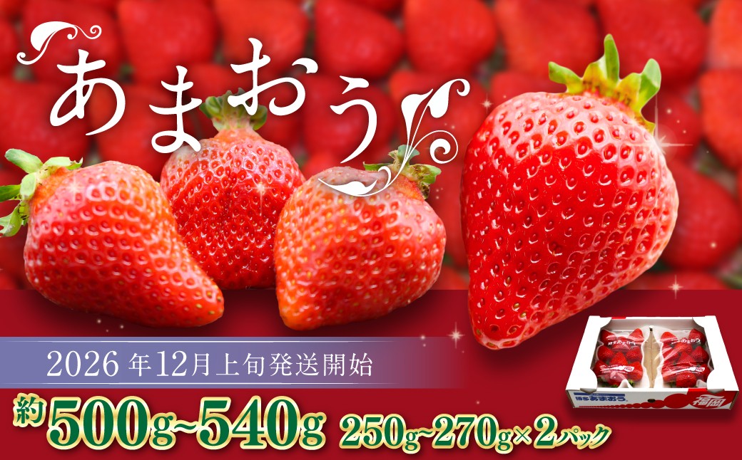 
                  博多あまおう（冬） 約250g～270g×2パック 計約500g～540g【2026年12月上旬-2027年1月下旬発送予定】 いちご 苺 イチゴ 果物 フルーツ
                