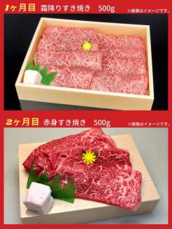 【6回定期便】亀岡牛 6ヶ月 お楽しみセット【計2.8kg】＜亀岡牛専門 木曽精肉店＞ ☆祝！亀岡牛 2021年最優秀賞（農林水産大臣賞）受賞※冷凍（冷蔵も指定可）