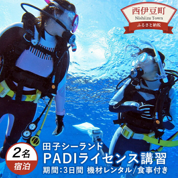 【ふるさと納税】ダイビング 西伊豆 ペアで体験！西伊豆 PADIライセンス講習（宿泊・朝夕食付き）田子シーランド 2名 静岡 西海岸 マリンアクティビティ