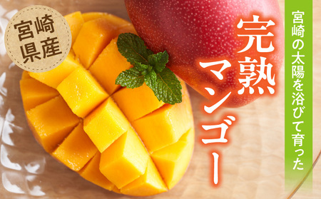 【期間・数量限定】宮崎県産訳あり完熟マンゴー1.2kg(3～4玉) マンゴー フルーツ 果物