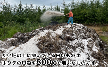 先行予約/2026年秋発送 北海道 十勝 幕別産 じゃがいも メークイン 約5kg 【横山農園】 野菜 根菜 食材 しっとり 崩れにくい 煮込み料理 炒め物 肉じゃが カレー シチュー 北海道のジャガ