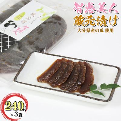 ふるさと納税 杵築市 智恵美人 蔵元漬け(奈良漬け) 240g×3袋セット