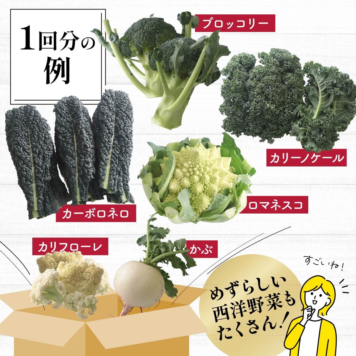 野菜ソムリエが送る 旬野菜セット 8～10品 西洋野菜 一般野菜