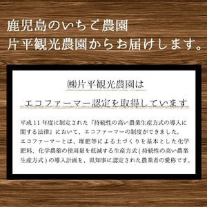 No.1309 苺ジャム(200g×2本)と不知火ジャム(200g×2本) 国産 九州産 鹿児島県産 いちご イチゴ 苺 不知火 しらぬい ジャム フルーツ 果物 柑橘 手作り 手造り 調味料 小分け