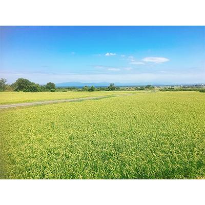 ふるさと納税 高島市 実生庵の近江米【四季風流】コシヒカリ 5kg×2袋 精米 MS84 |  | 03