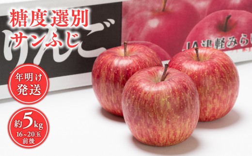 
                  年明け 糖度選別サンふじ約5kg 【青森県 平川市 JA津軽みらい 1月・2月】 年明け発送 青森 青森県産 平川 りんご リンゴ 林檎 くだもの 果物 ふじ フルーツ 
                