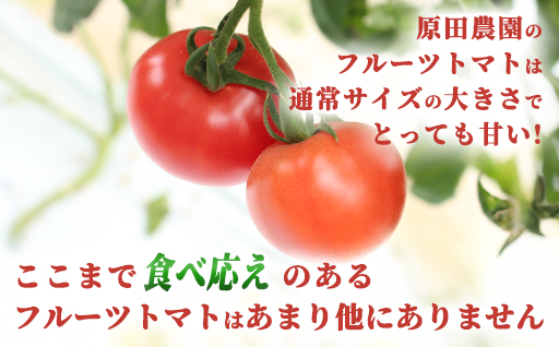 【a013】フルーツトマト糖九郎（Mサイズ）1kg箱15玉満杯詰め　2026年3月〜5月発送分