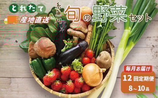 直売所からお届け! 旬の野菜セット【12回お届け】（8～10品詰め合わせ）新鮮な野菜直送 定期便【大根･白菜･春菊･アスパラ菜･しいたけ･ほうれん草･ふきのとう･タラの芽･山菜･にんじん･イチゴ･トマト･きゅうり･ピーマン･ジャガイモ･玉ねぎ･オクラ･枝豆･トウモロコシ･なす･生きくらげ･長ネギ･サツマイモ･里芋】