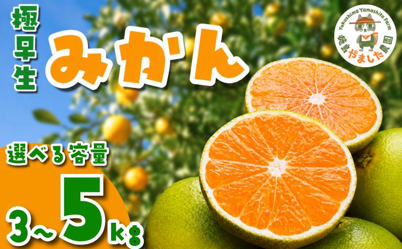 
                  【先行予約】 【2026年10月順次発送】 極早生みかん 3kg 5kg  みかん  温州みかん 極早生 早生 完熟 柑橘 果物 フルーツ 国産 新鮮 お中元 甘い 農家直送 【北海道、東北、離島、沖縄配送不可】
                
