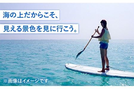 SUP体験 《壱岐市》【壱岐イルカパーク＆リゾート】[JBF008] 22000 22000円 