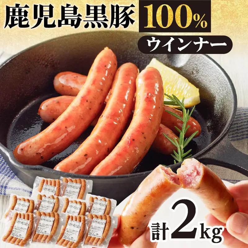鹿児島黒豚ウインナー10P　K161-016 鹿児島 おすすめ ランキング プレゼント ギフト 冷凍 肉 豚 黒豚 ウインナー ソーセージ ブラックペッパー 黒胡椒 粗挽き スモーク つまみ 鍋 酒 ビール 小分け 大容量 ボリューム 薩摩ハム