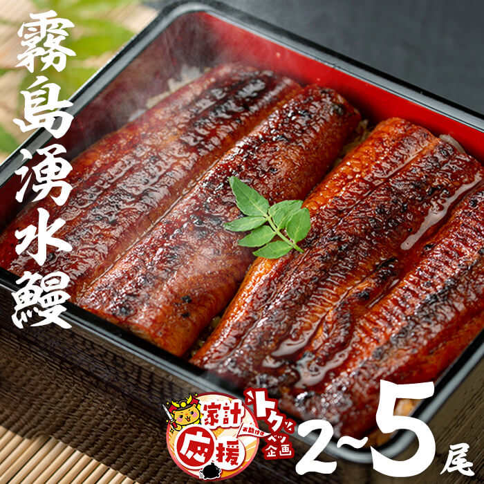 うなぎ生産量日本一の鹿児島県！山田水産の霧島湧水鰻 160g以上×5尾＜計800g以上＞