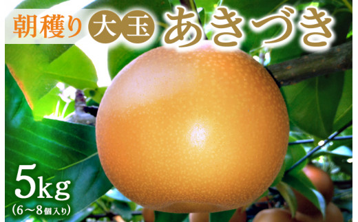 朝穫り　大玉【あきづき】5kg　6個～8個入り【9月10日受付終了】※2026年9月～発送