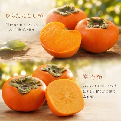 【発送月固定定期便】紀州和歌山産旬のフルーツセット(バレンシア・桃・ひらたねなし柿・富有柿)全4回【配送不可地域：離島・北海道・沖縄県】