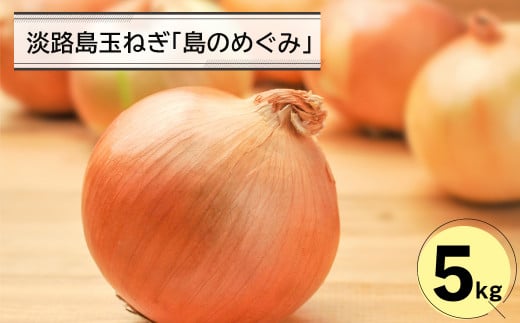 
淡路島玉ねぎ「島のめぐみ」５キロ
