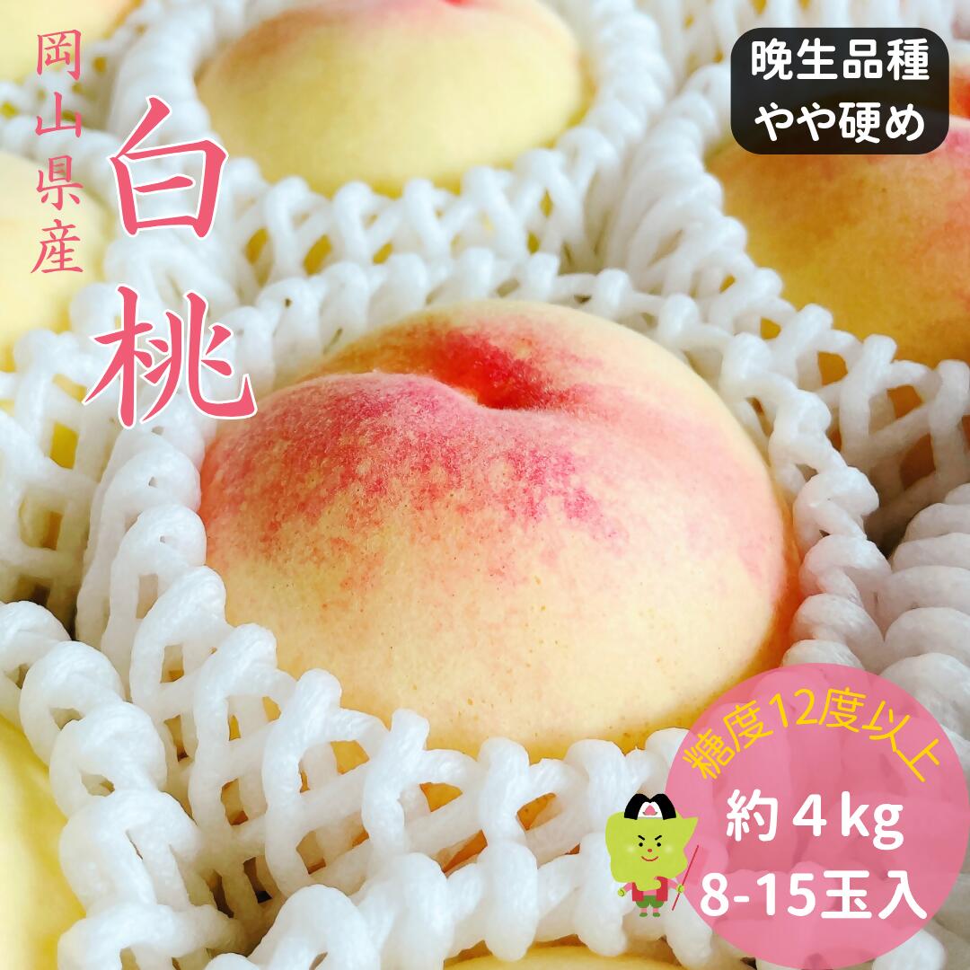 【ふるさと納税】白桃 特秀 ロイヤル 大玉 晩生品種 4kg 岡山県産 桃 もも 御中元 ギフト 御礼 プレゼント 御礼 御祝 御供 果物 くだもの フルーツ　土-19