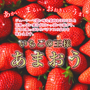 M1053【2024年1月上旬より順次発送】いちごの王様！【あまおうグランデサイズ】約270g×6パック