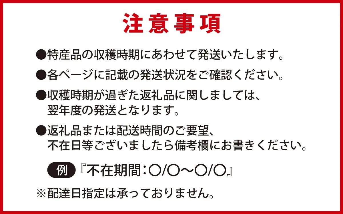 かほく市 農産物ブランド 6品目セット 