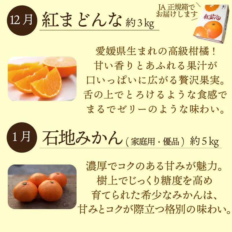 愛媛みかん おたのしみ定期便 全6回 紅まどんな 入り みかん 【KK335】