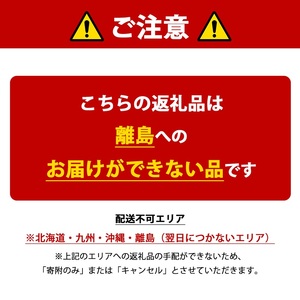 【先行予約】天使のいちご 紅白セット 苺 約400g いちご 詰め合わせ セット 岐阜県 海津市