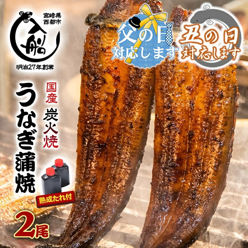 【ふるさと納税】「うなぎの入船」国産うなぎ炭火焼かば焼2尾セット 備長炭手焼き（熟成たれ付）200g 炭火焼一筋130年 かば焼2尾国産 うなぎ 鰻 お惣菜 小分け 真空パック 送料無料 さいとし サイト＜13-2a＞☆