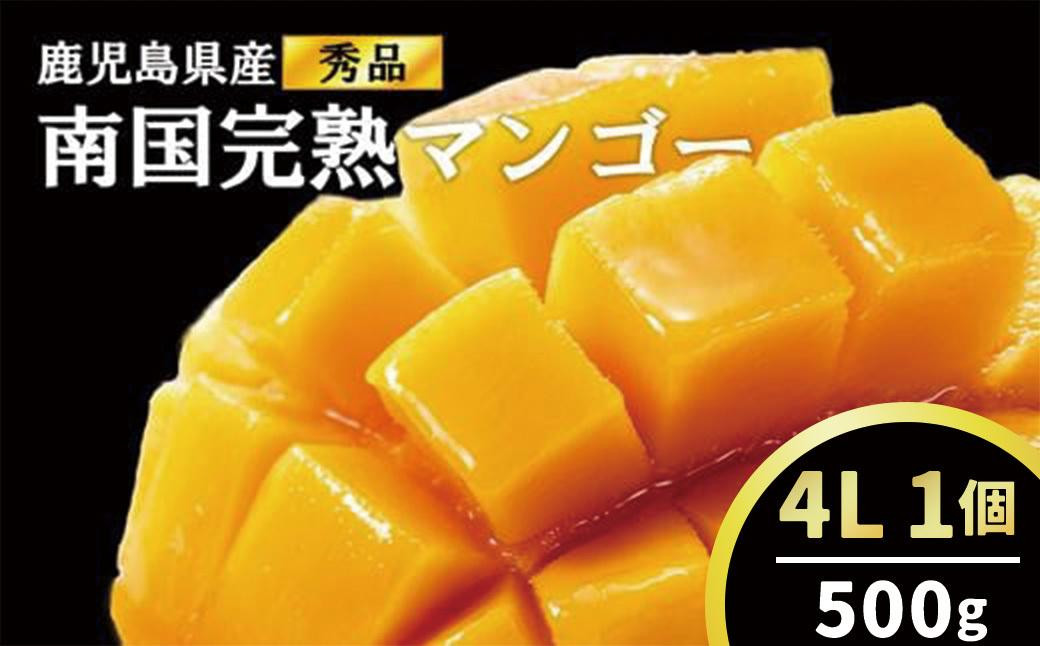 
結いの町　南国完熟マンゴー（秀品大玉 4Lサイズ）500g
