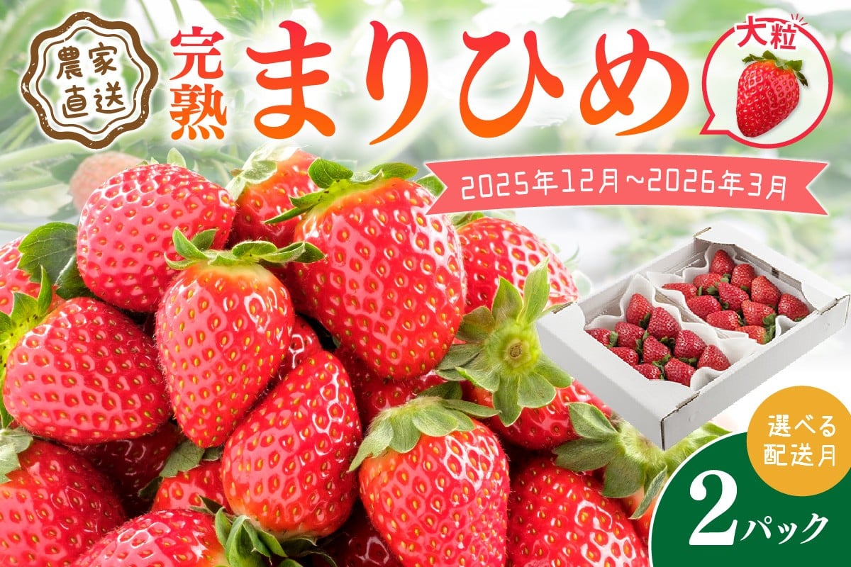 
            農家直送！大粒完熟まりひめ　いちご　2パック 配送月を選択できる《先行予約》【配送不可地域：北海道・沖縄・離島】
          
