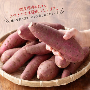 村井農園産さつまいも「紅はるか」5kg 【 宮崎県産 九州産 いも 芋 サツマイモ 野菜 】
