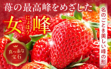 NATSUMI　　ICHIGO　女峰　1.8kg以上　（2025年1月～6月配送）_mk060-001