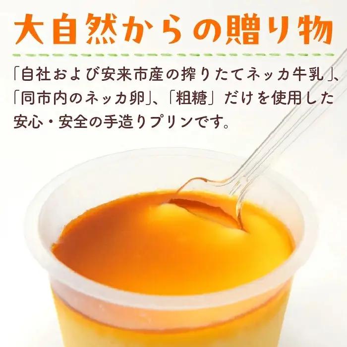 【テレビで紹介されました】手造りプリン6個セット／冷蔵 ネッカ牛乳 ネッカ卵 蒸しプリン ソース別 牧場 スイーツ おいしい ご褒美 おやつ 牧場 搾りたて グルメ お土産 自宅用 ギフト 贈り物 人