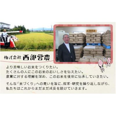 ふるさと納税 滑川市 【ほたるいか米】玄米　10kg |  | 03