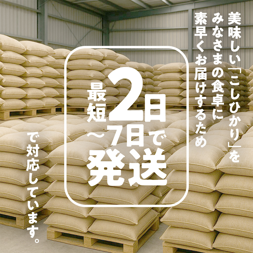 ＼ 最短 2日で発送 ／ コシヒカリ 5kg 令和6年産精米【 数量限定 】茨城県つくばみらい市産 米 コメ 単一米 12000 茨城県産 国産 即納 スピード配送 すぐ届く 発送 早い 即発送 コス