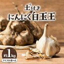 【ふるさと納税】土付き にんにく 白玉王 1kg 選べるサイズ S or M or L サイズ 本別町産 斎啓一 北海道 本別町 【先行予約】《2025年8月上旬-9月末頃出荷》送料無料 ニンニク ガーリック 乾燥にんにく スタミナ先行予約　 野菜 1キロ